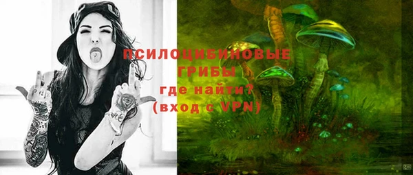 стафф Алзамай