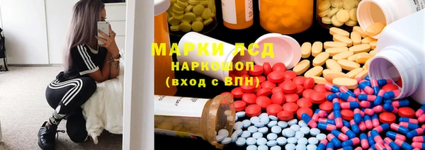 стафф Алзамай