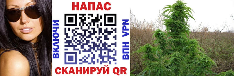 Конопля конопля  darknet клад  Бронницы 
